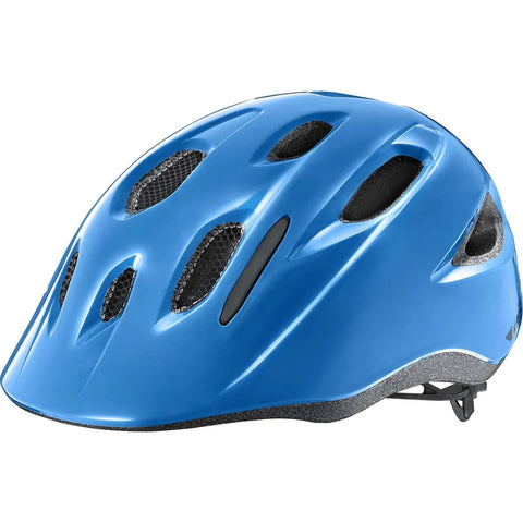 Giant Hoot ARX Helmet 50-55cm Blue