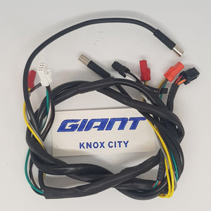 Giant E-bike Harness MY22 Trance E-Fox Live (Syncdrive Pro 2)