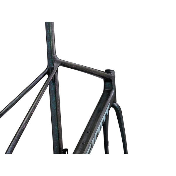 Giant TCR Advanced SL (2025) - Frame and Fork