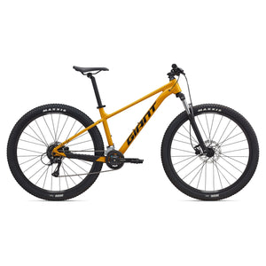 Giant Talon 3 2025 Beeswax Giant Knox City