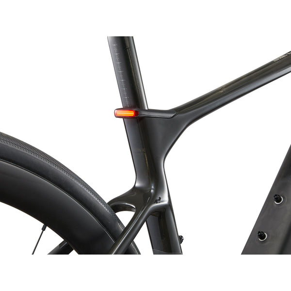 Liv Avail Advanced E+ Elite 0 (2025) - Raw Carbon