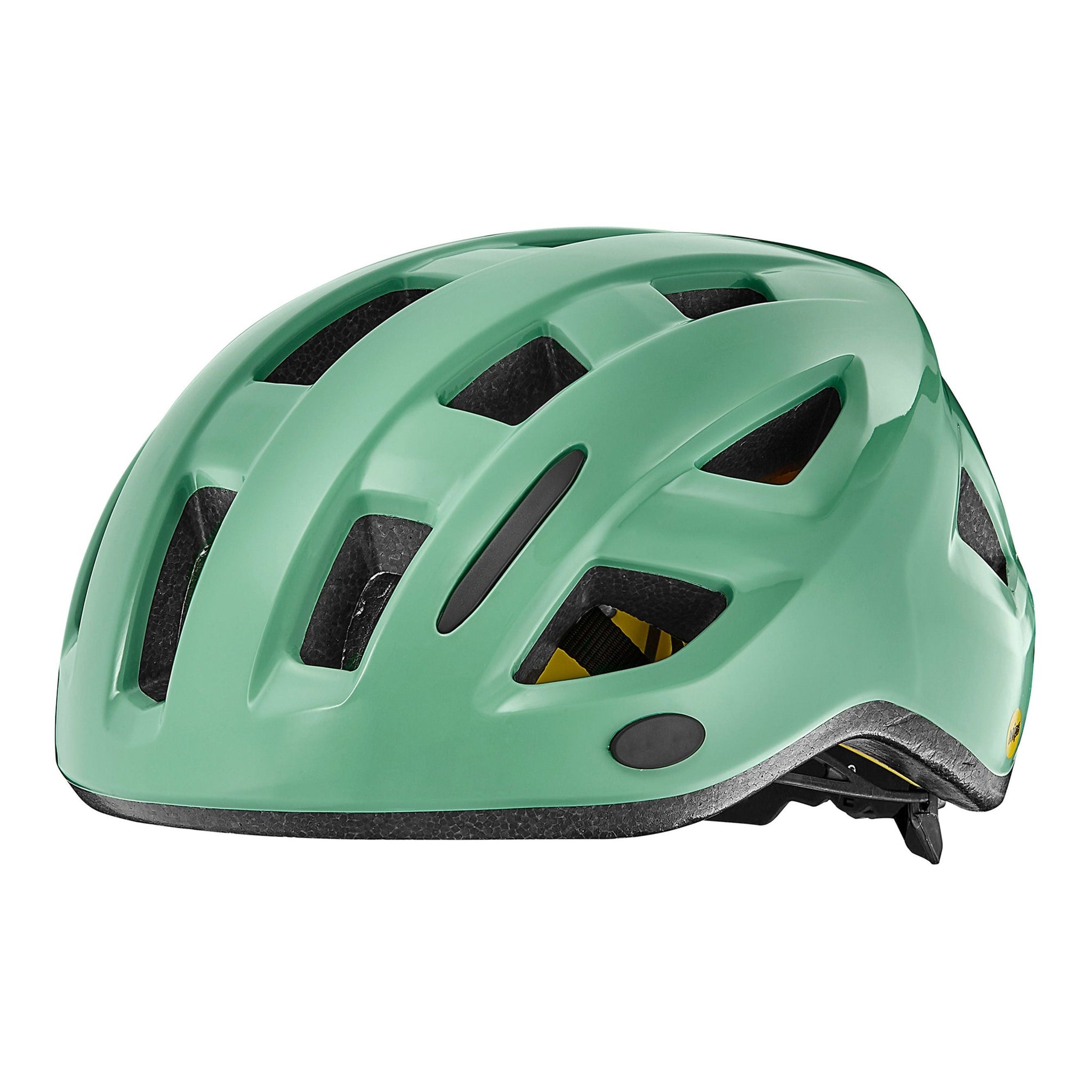 Liv Relay MIPS Helmet Ocean Wave